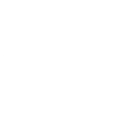 Logotipo de Areizaga