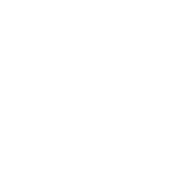 Logotipo de Bolboreta