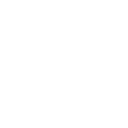 Logotipo de Diza