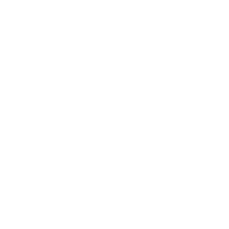 Logotipo de Intudesa