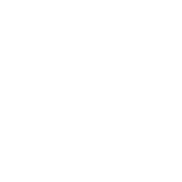 Logotipo de Palmer