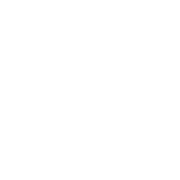Logotipo de Spain Sotheby's International Realty